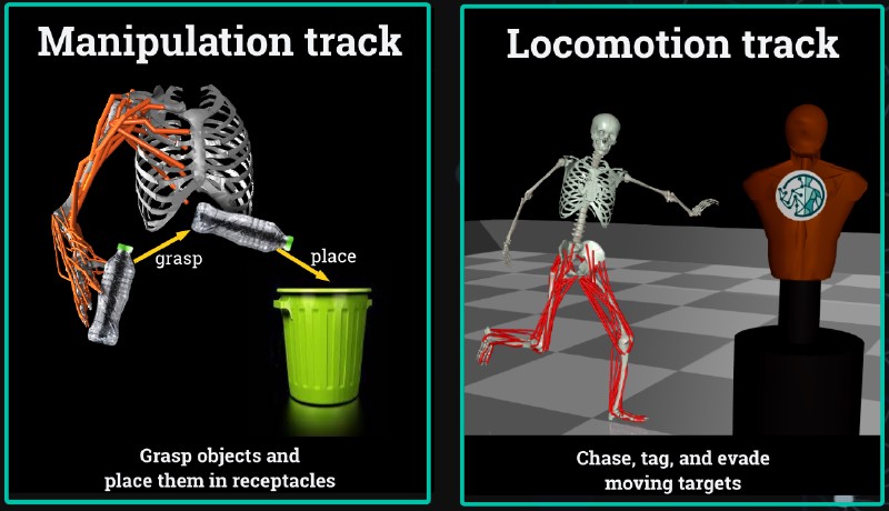 Depictions of the MyoChallenge models